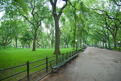 New york -Central Park