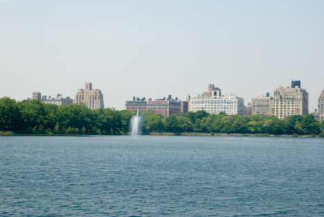 New york -Central Park