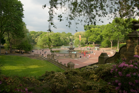 New york -Central Park